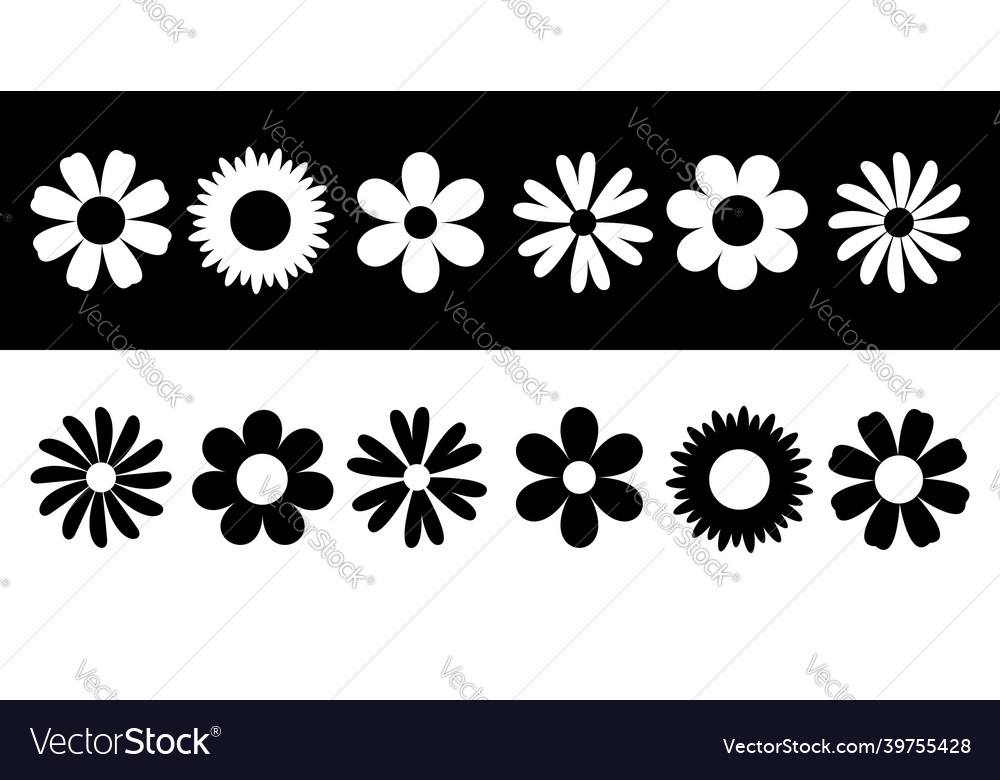 Daisy camomile six chamomile silhouette shape vector image Daisy camomile six chamomile silhouette shape