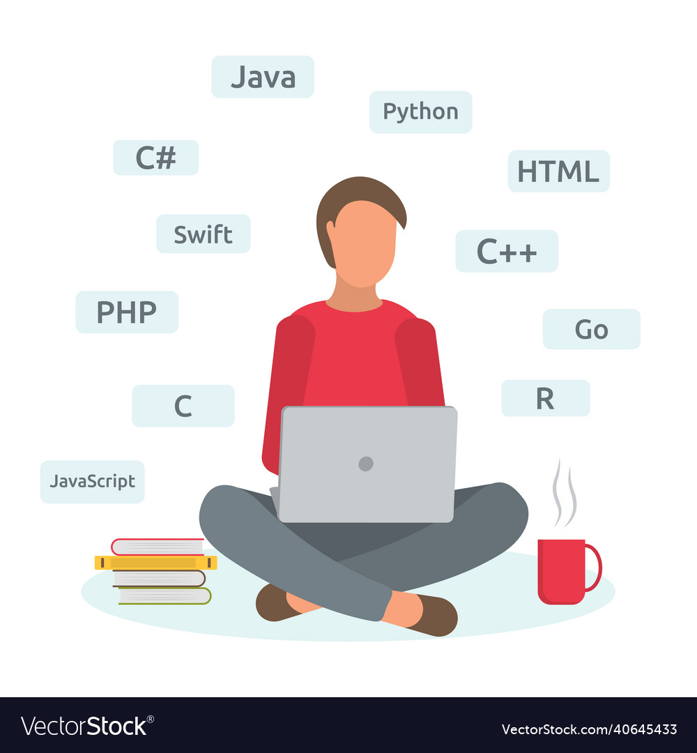 Man programmer is studying programming languages Vector Image