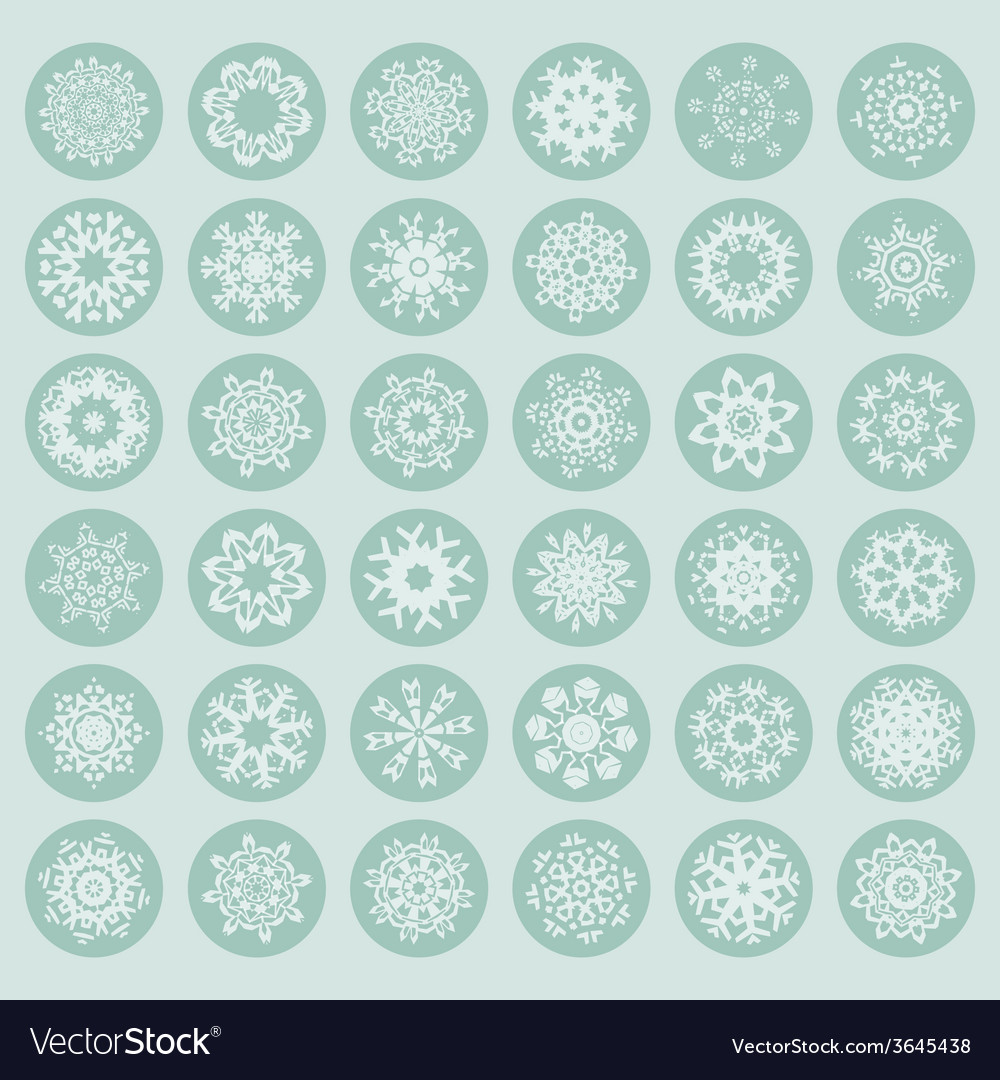 Winter Snowflake Collection