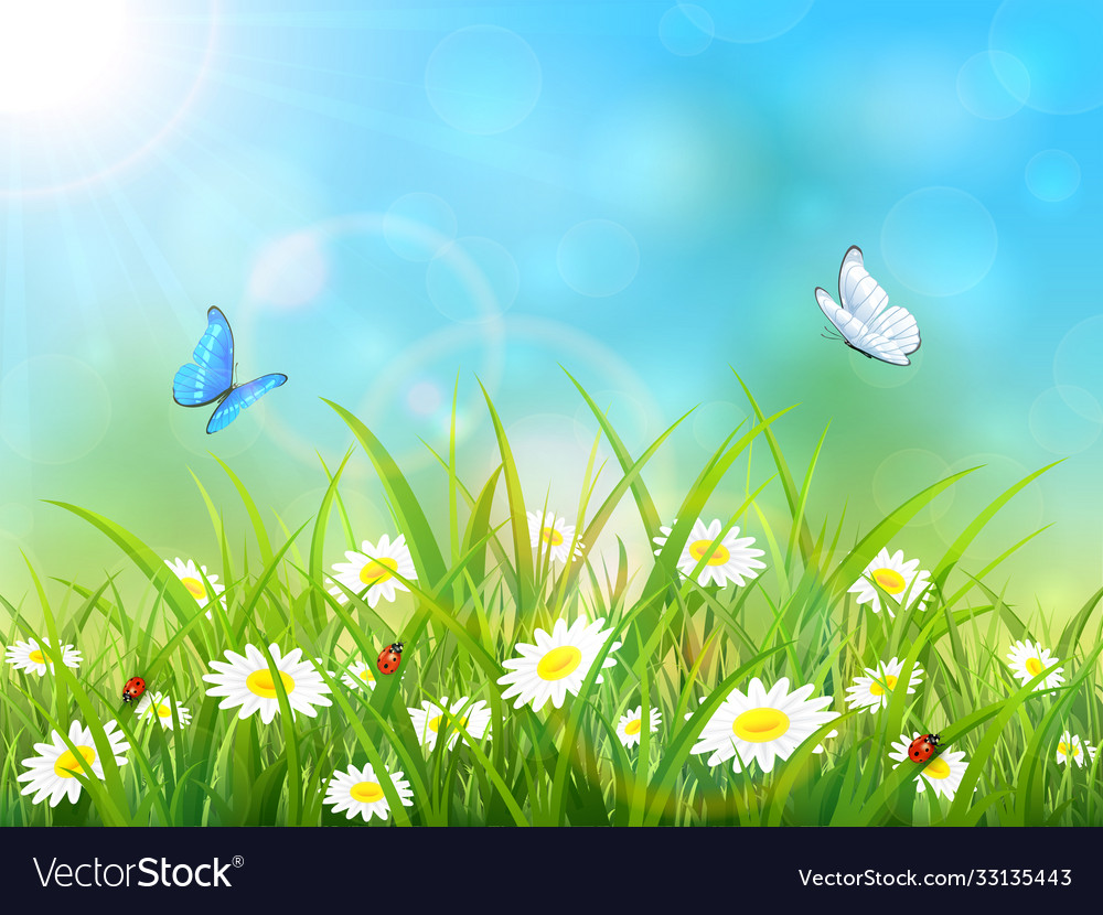 Blue nature background with sun and butterflies Vector Image