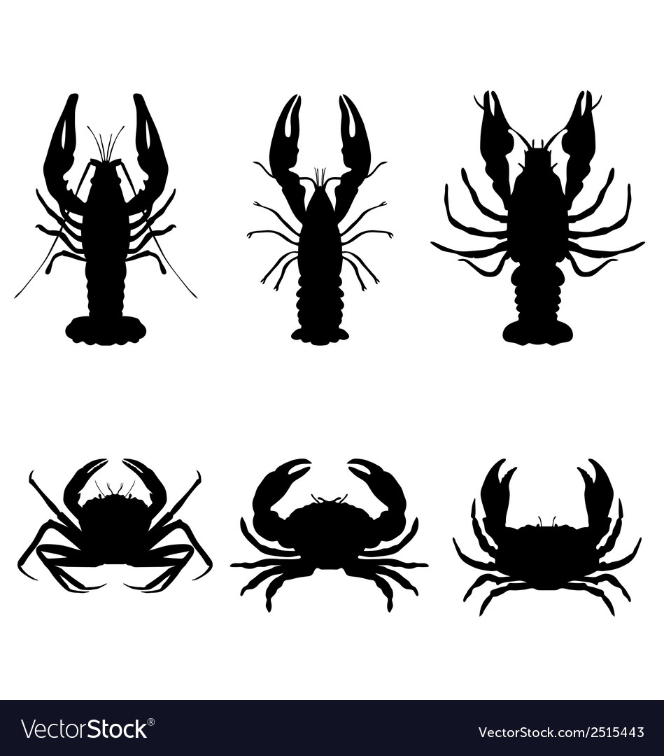 Crawfish and crab Royalty Free Vector Image - VectorStock