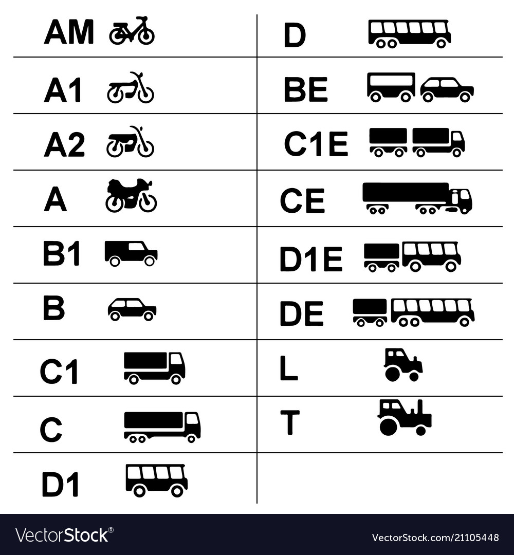 Drivers licenses symbols