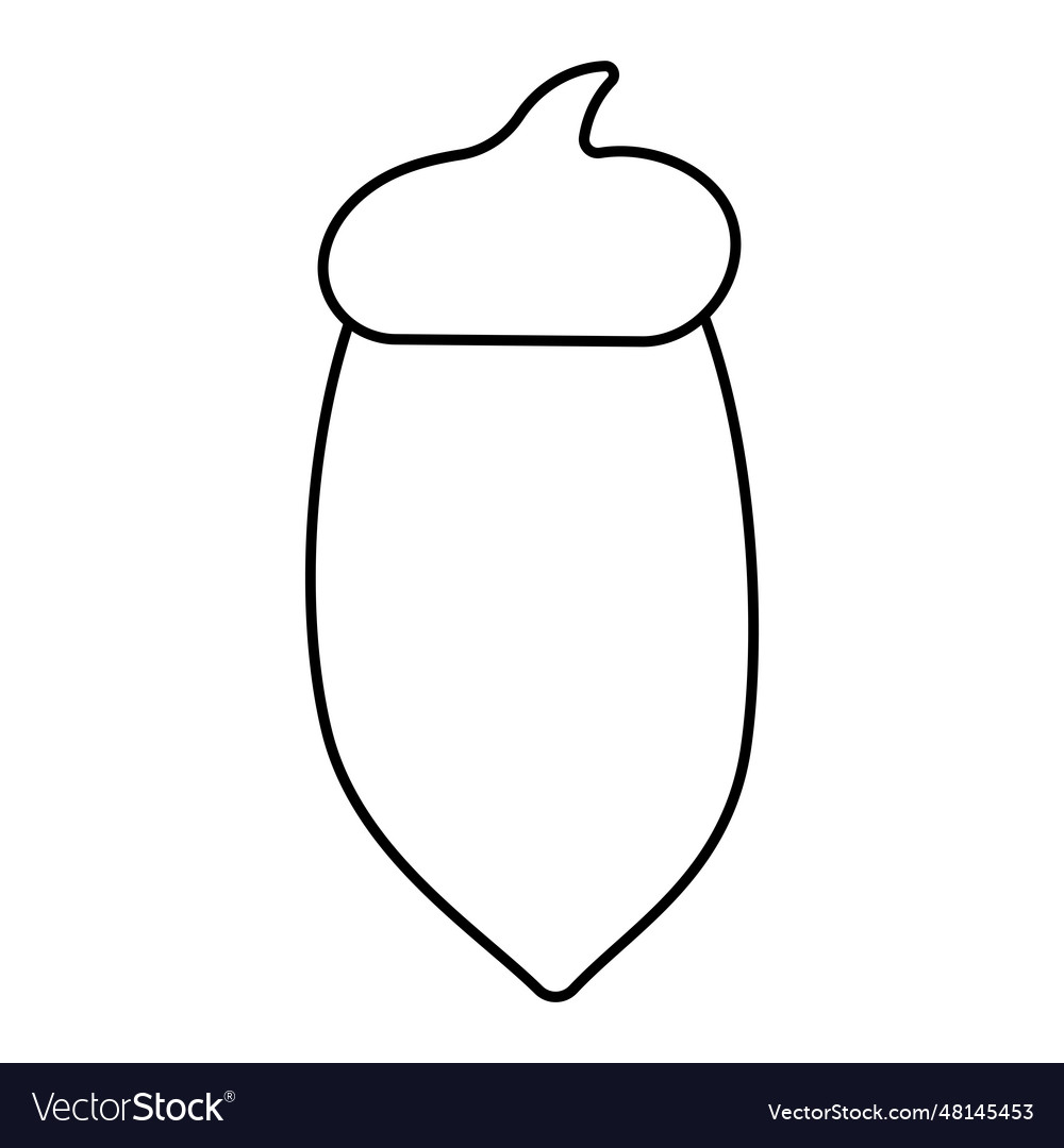 Acorn walnut forest tree pattern line icon vector image Acorn walnut forest tree pattern line icon