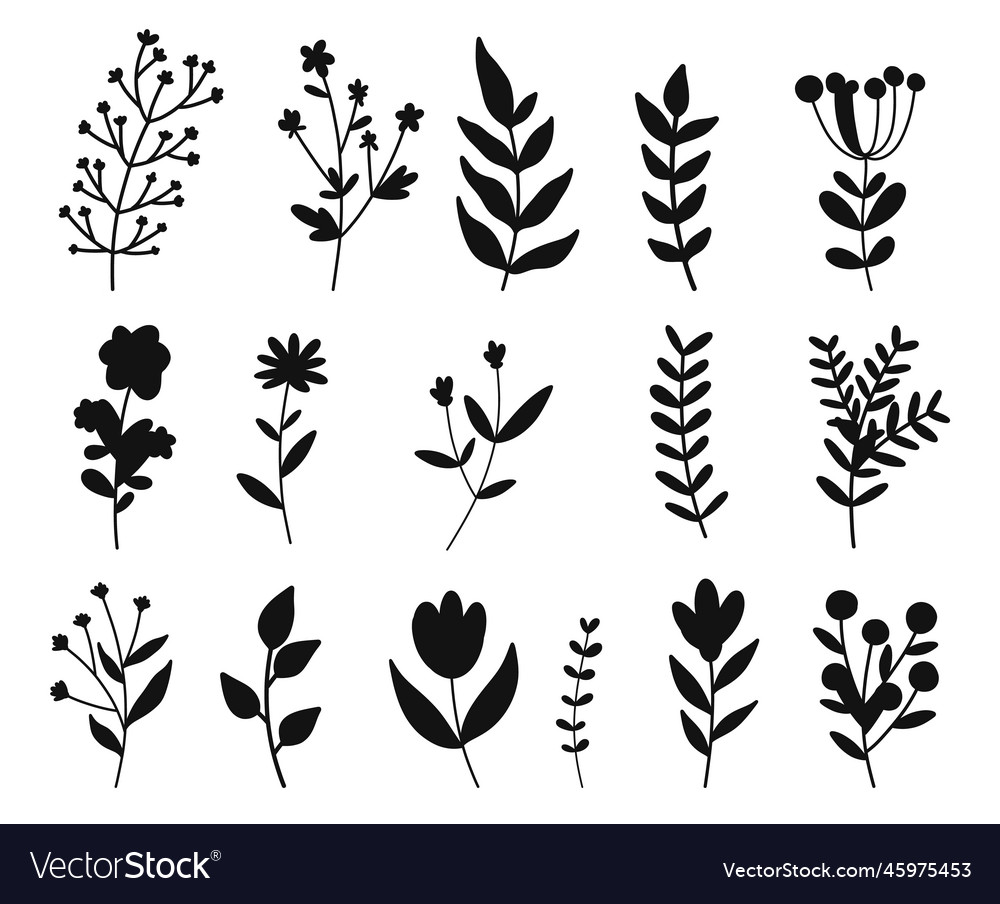 Botanical leaves and flowers elements isolated Vector Image