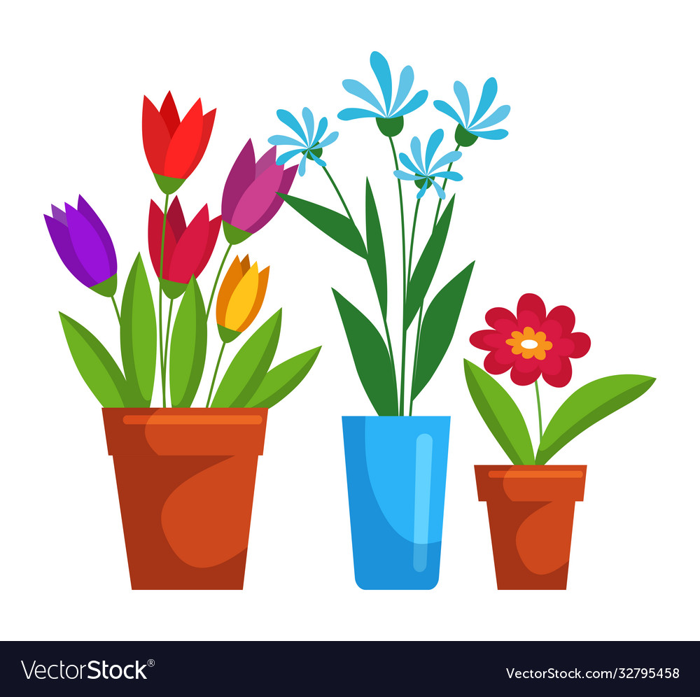 Blooming flower in pot set isolated on white space