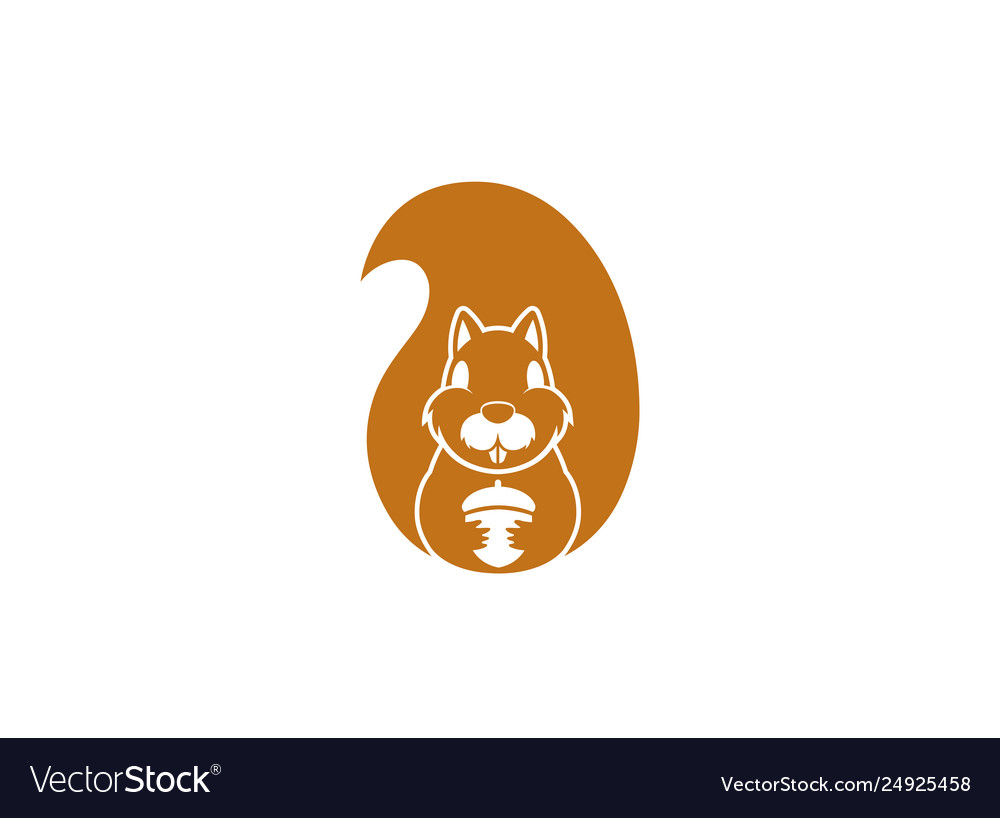 Creative squirrel animal logo