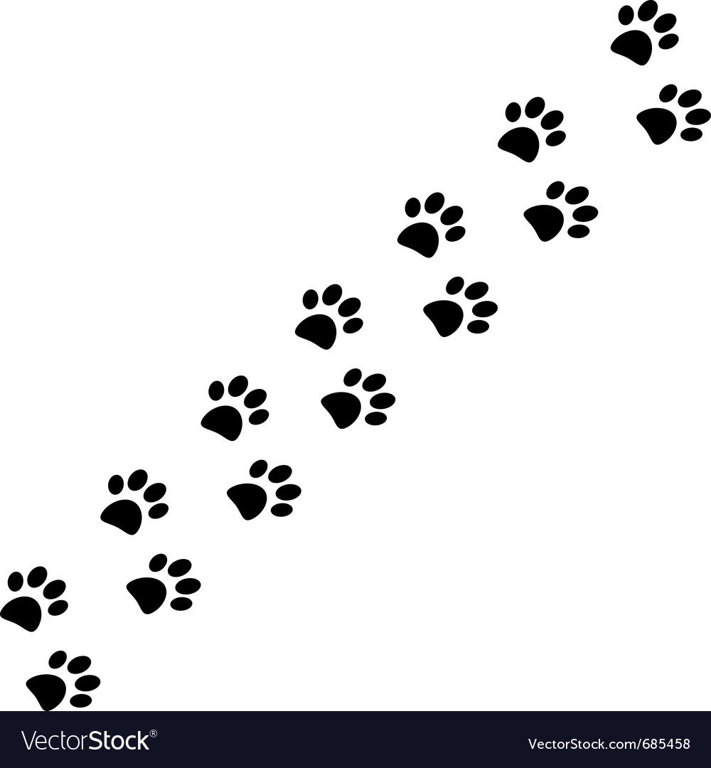 Cute Paw Prints Trail