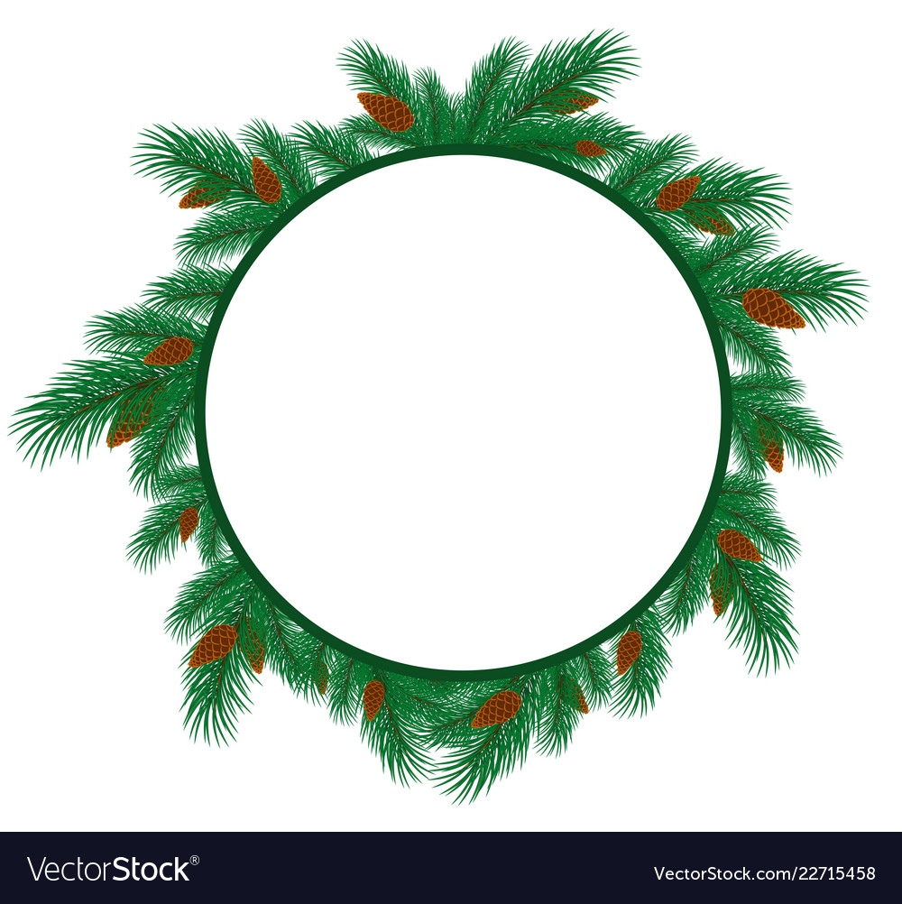 Frame with branches of spruce