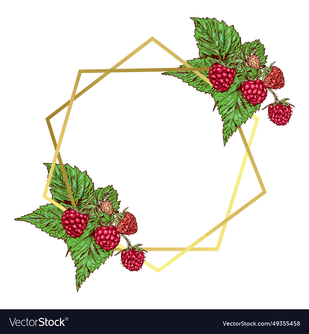 Golden frame with raspberry branches vector image Golden frame with raspberry branches