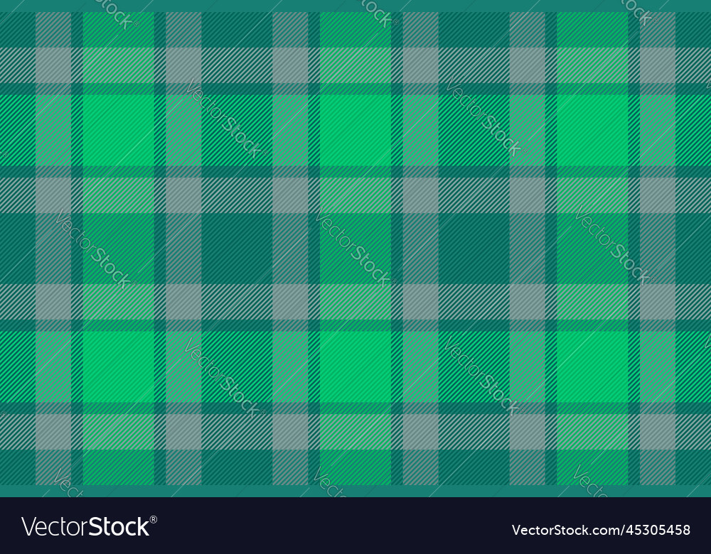 Tartan textile plaid texture pattern fabric Vector Image