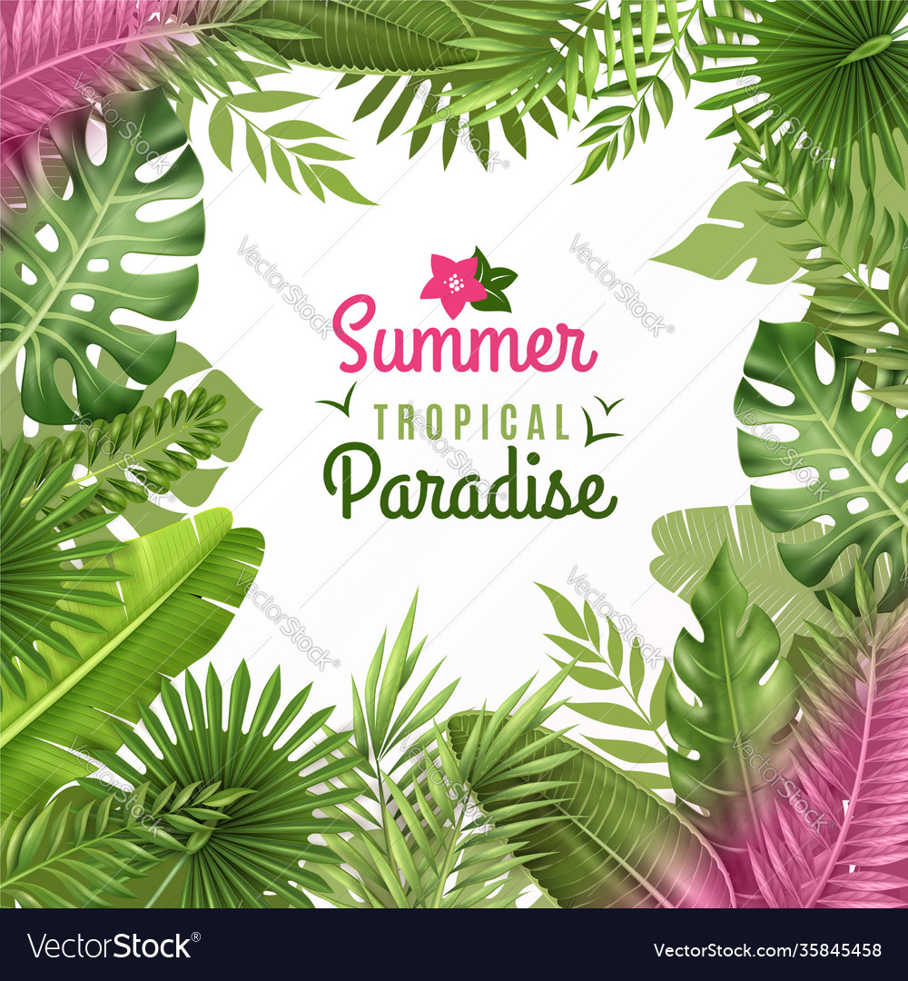 Tropical foliage decorative background frame Vector Image