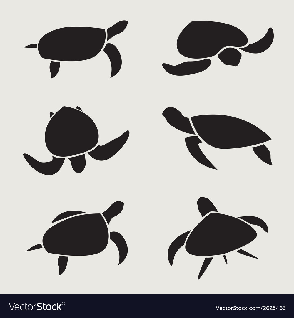 Group Of Turtle Royalty Free Vector Image - Vectorstock