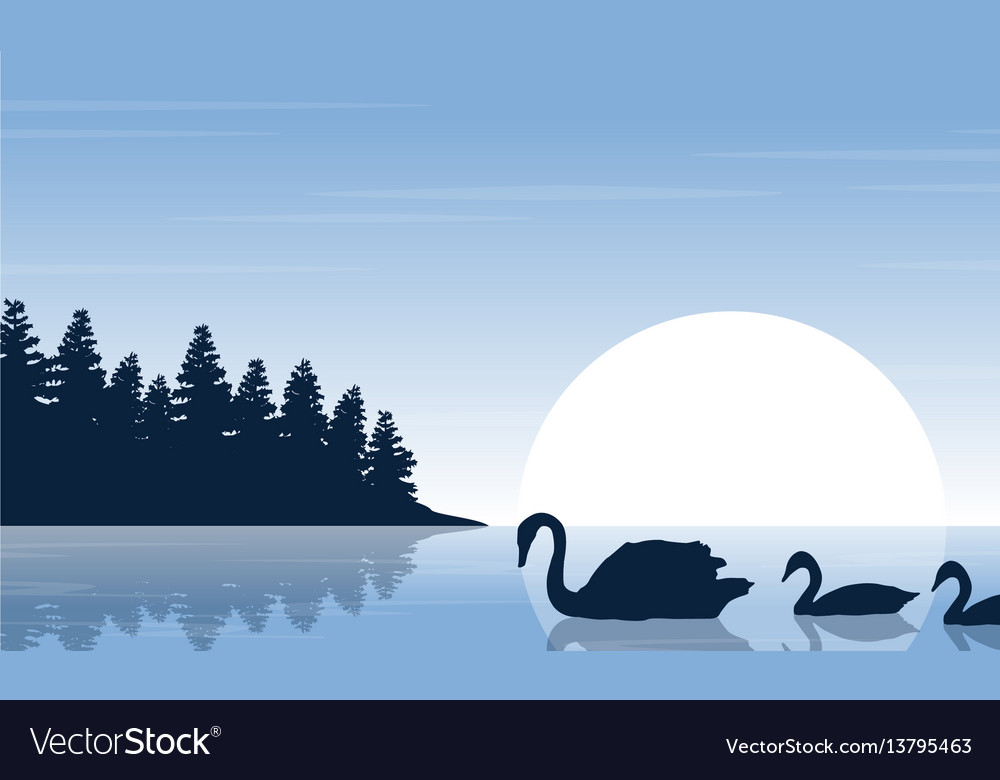 Silhouette of swan on river scenery