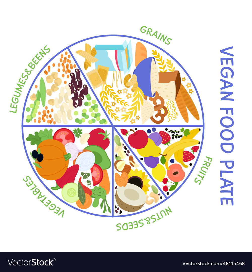 Vegan food plate vegetarian infographic Royalty Free Vector