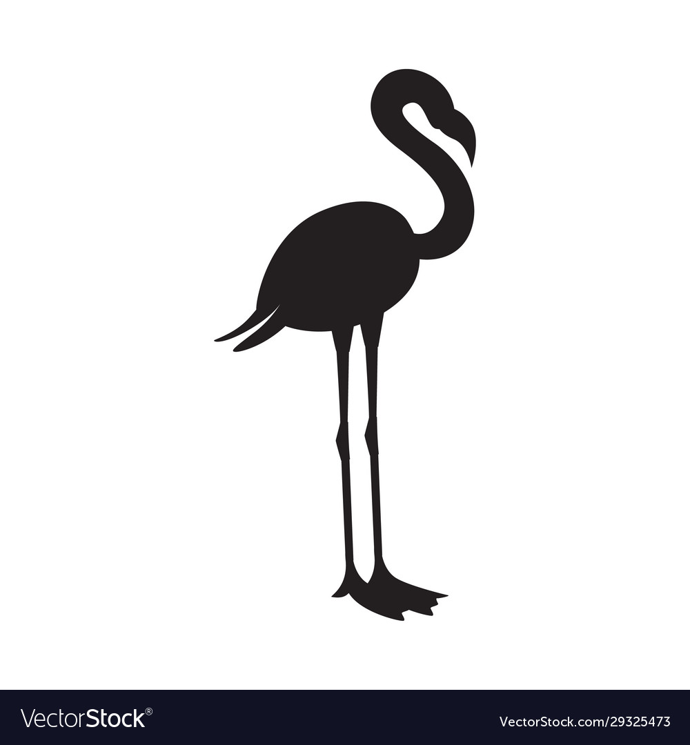 Black Silhouette Or Contour Flamingo Flat Vector Image