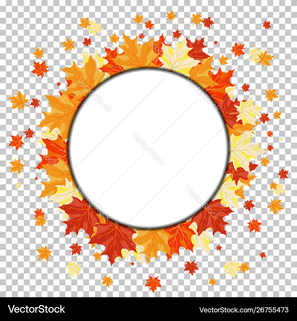 Fall autumn maple background Royalty Free Vector Image