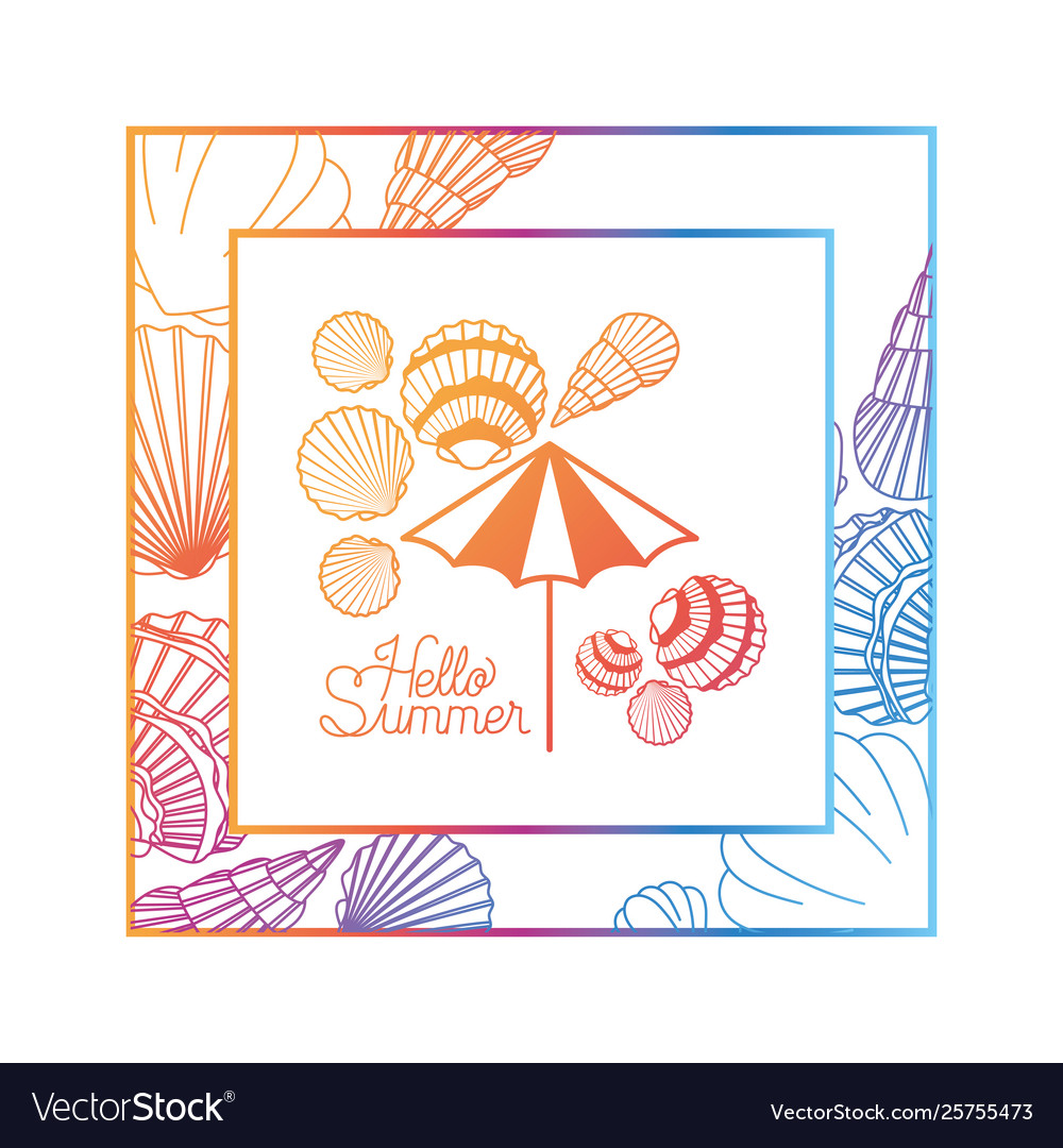 Hello summer label with colorful frame