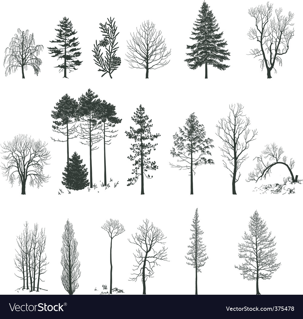 Download Tree silhouette collection Royalty Free Vector Image