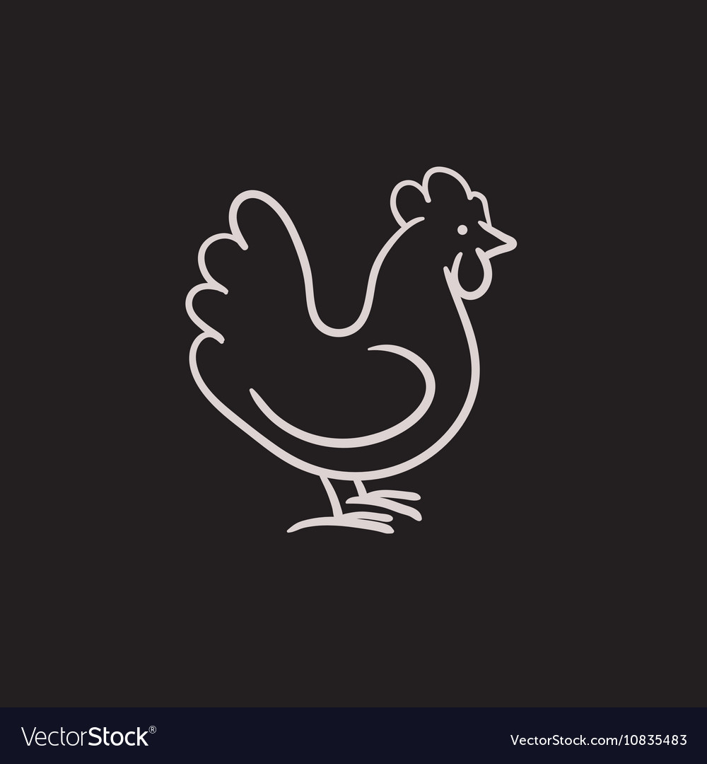 Chicken sketch icon