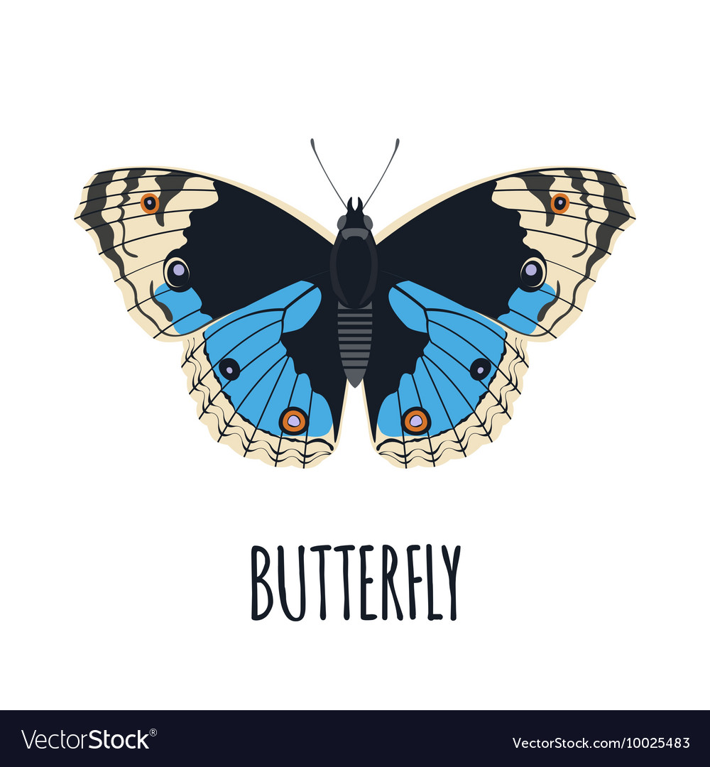 Butterfly style