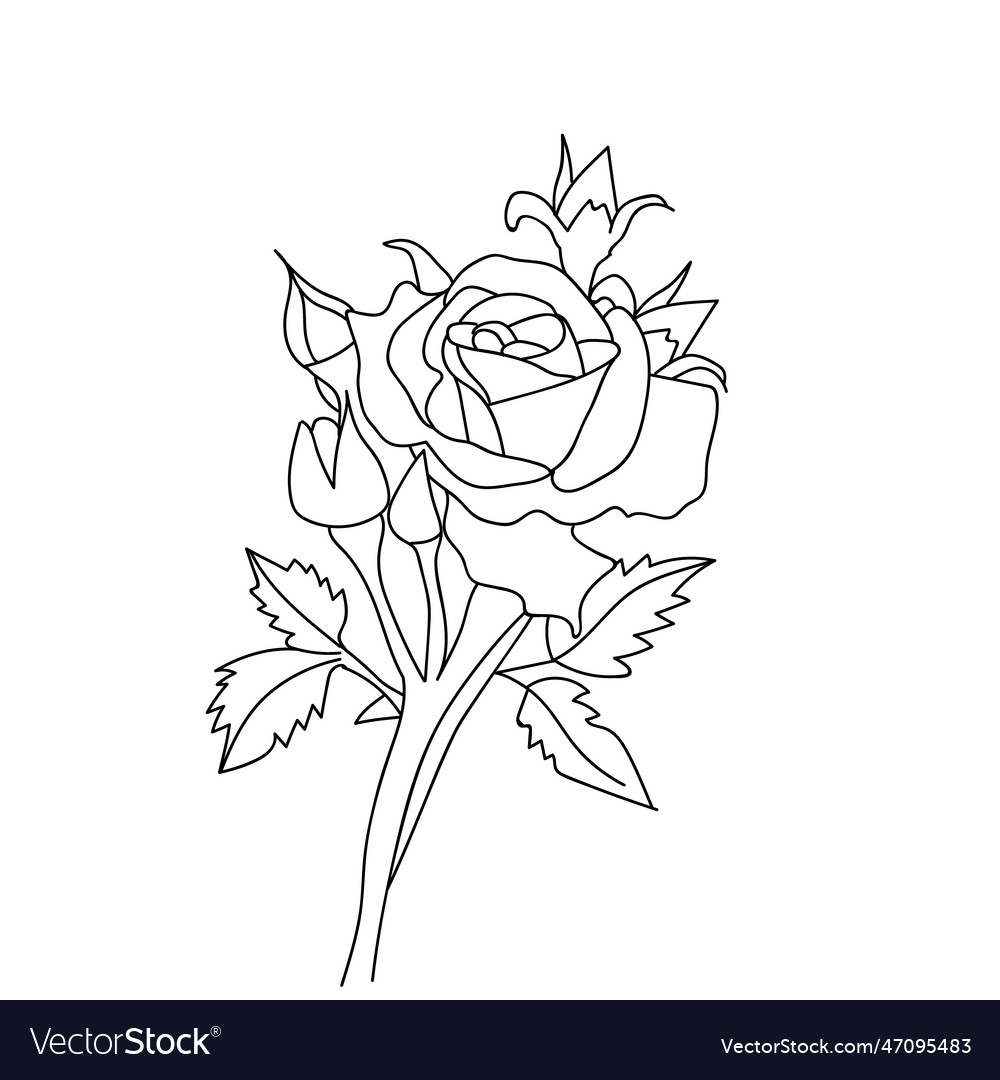 Rose Flower Picture For Coloring Best Flower Site