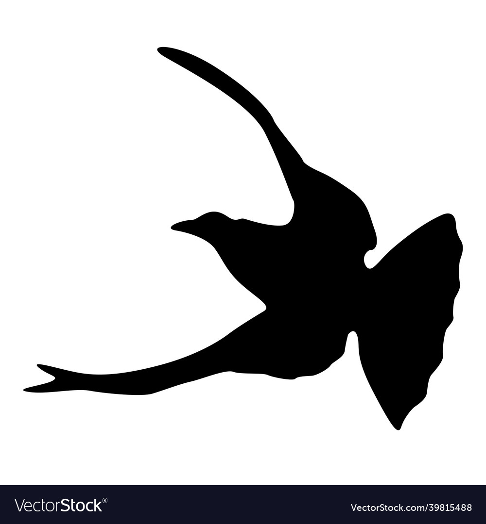 Concept of love or peace silhouettes doves