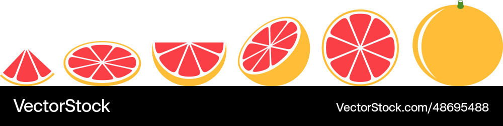 Grapefruit Royalty Free Vector Image - VectorStock