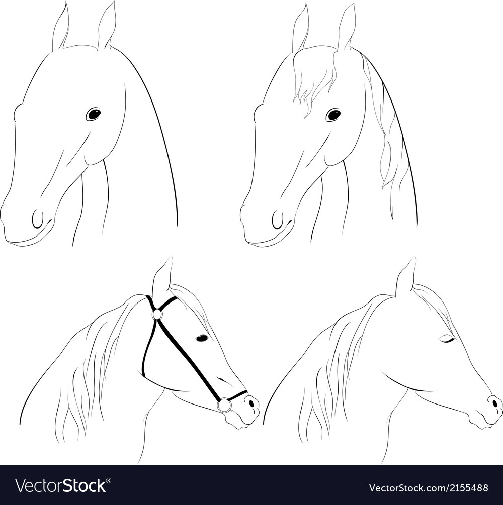 Horse head