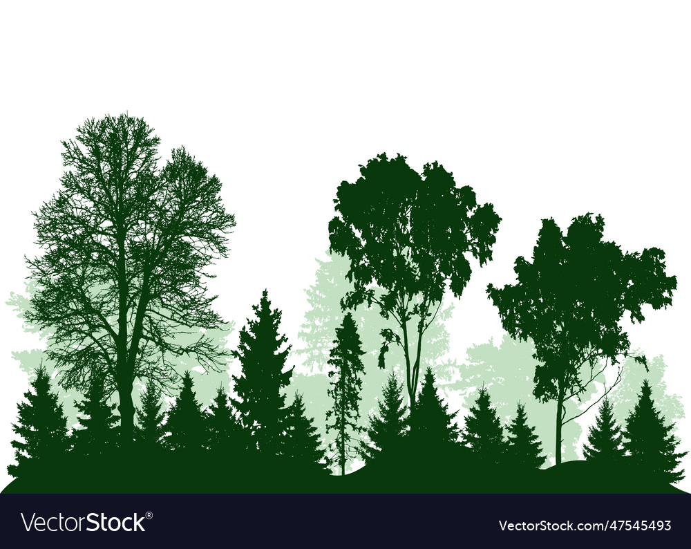 Beautiful landscape silhouette of deciduous