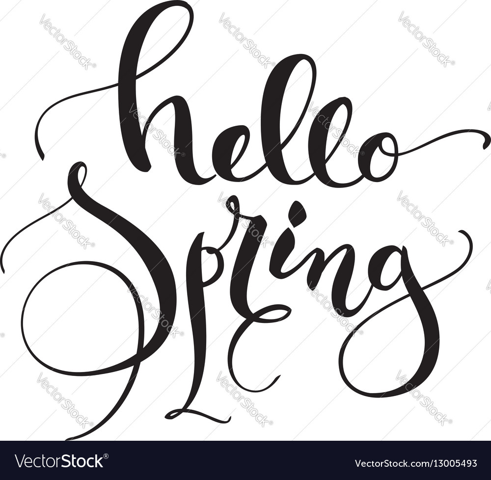 Hello spring greeting card design with simple Vector Image