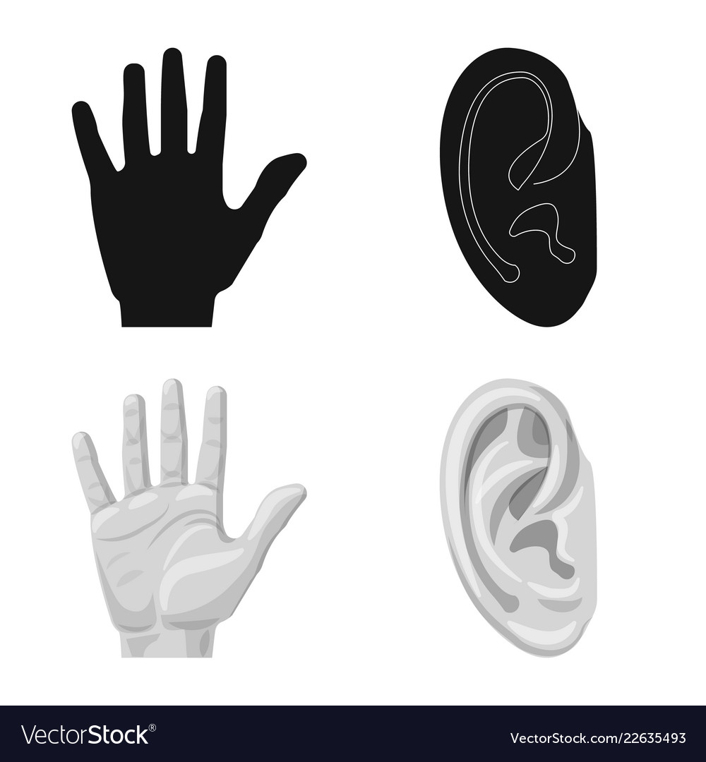 Isolated object of human and part logo set