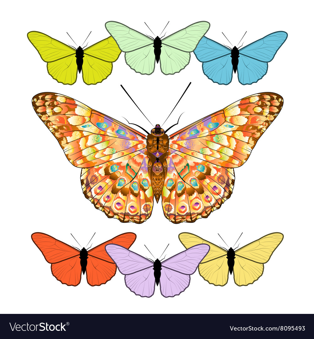 Set of butterflies