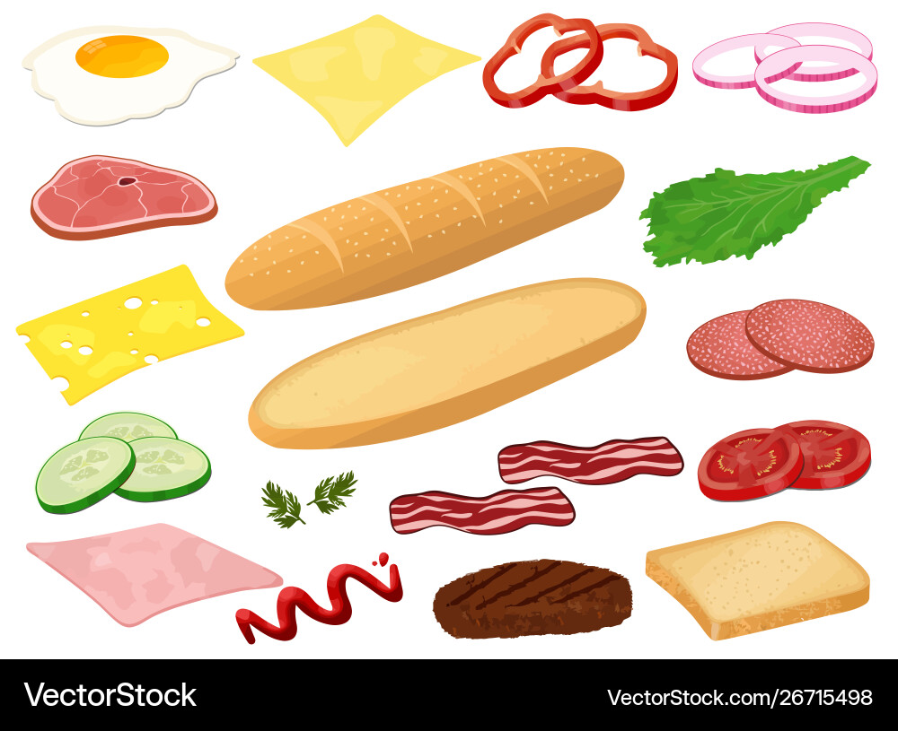 Set ingredients for sandwich or burger on Vector Image