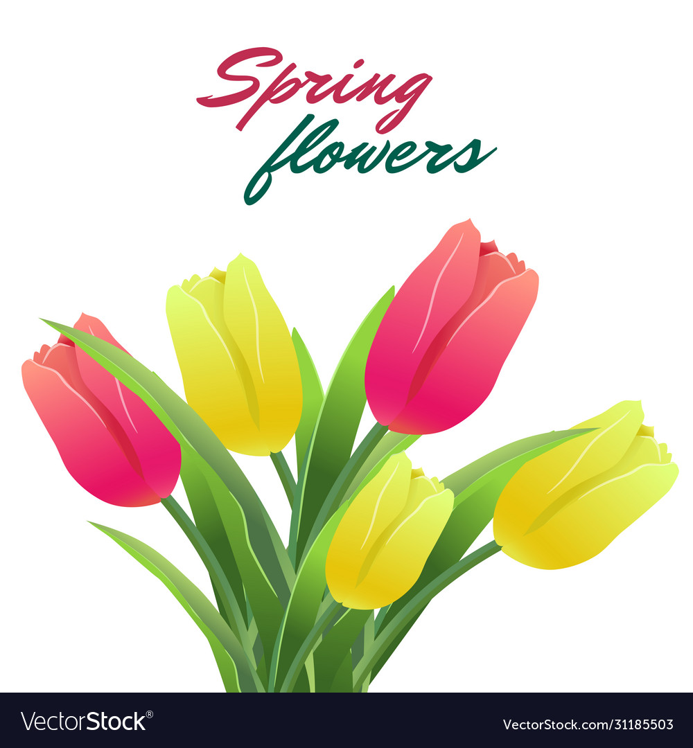 Tulips simless pattern card3-01 vector image Tulips simless pattern card3-01
