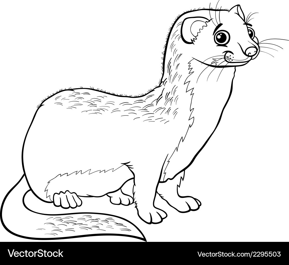 Weasel Animal Cartoon Coloring Book Royalty Free Vector