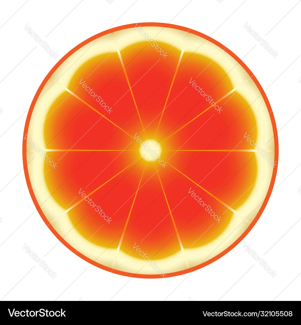 Grapefruit Royalty Free Vector Image - VectorStock