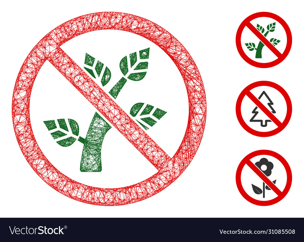 No botany polygonal web mesh vector image No botany polygonal web mesh