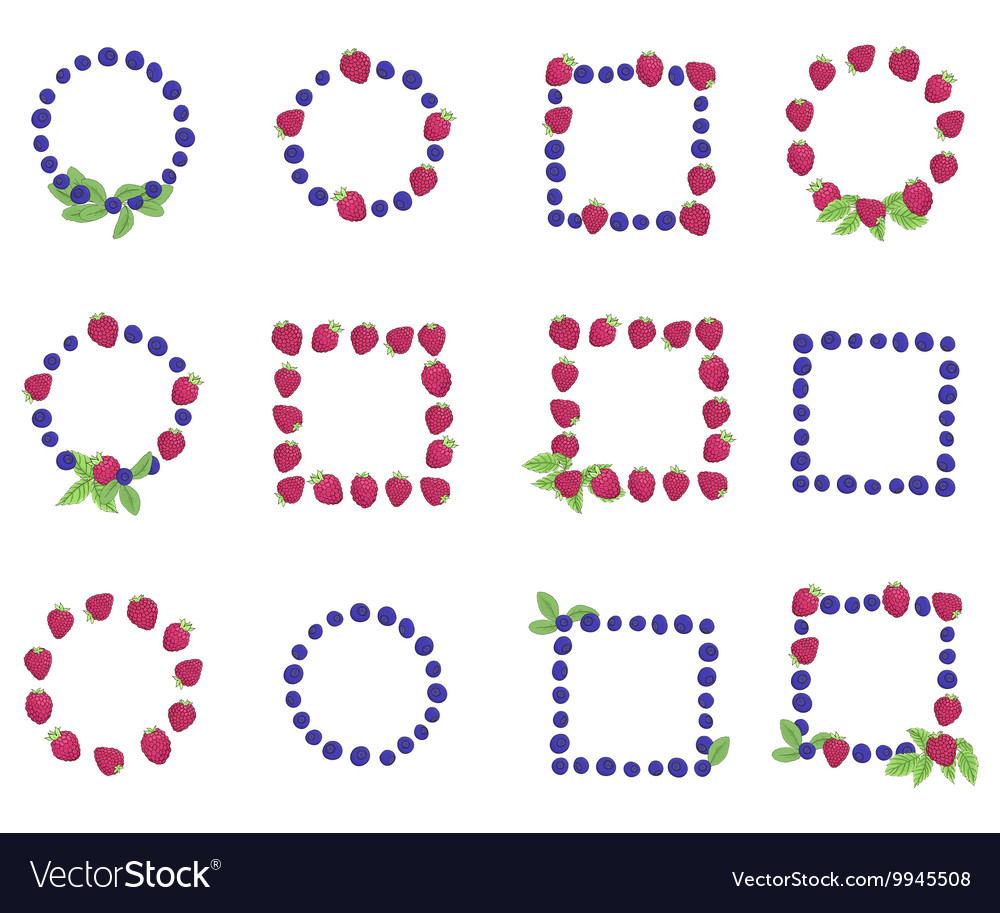 Set of frames from the berries