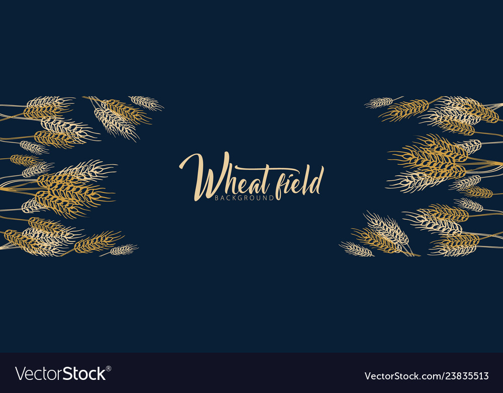 Bakery background with wheats linear graphic vector image Bakery background with wheats linear graphic