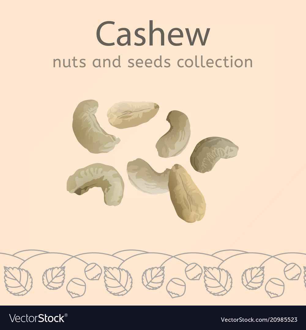 Cashew image