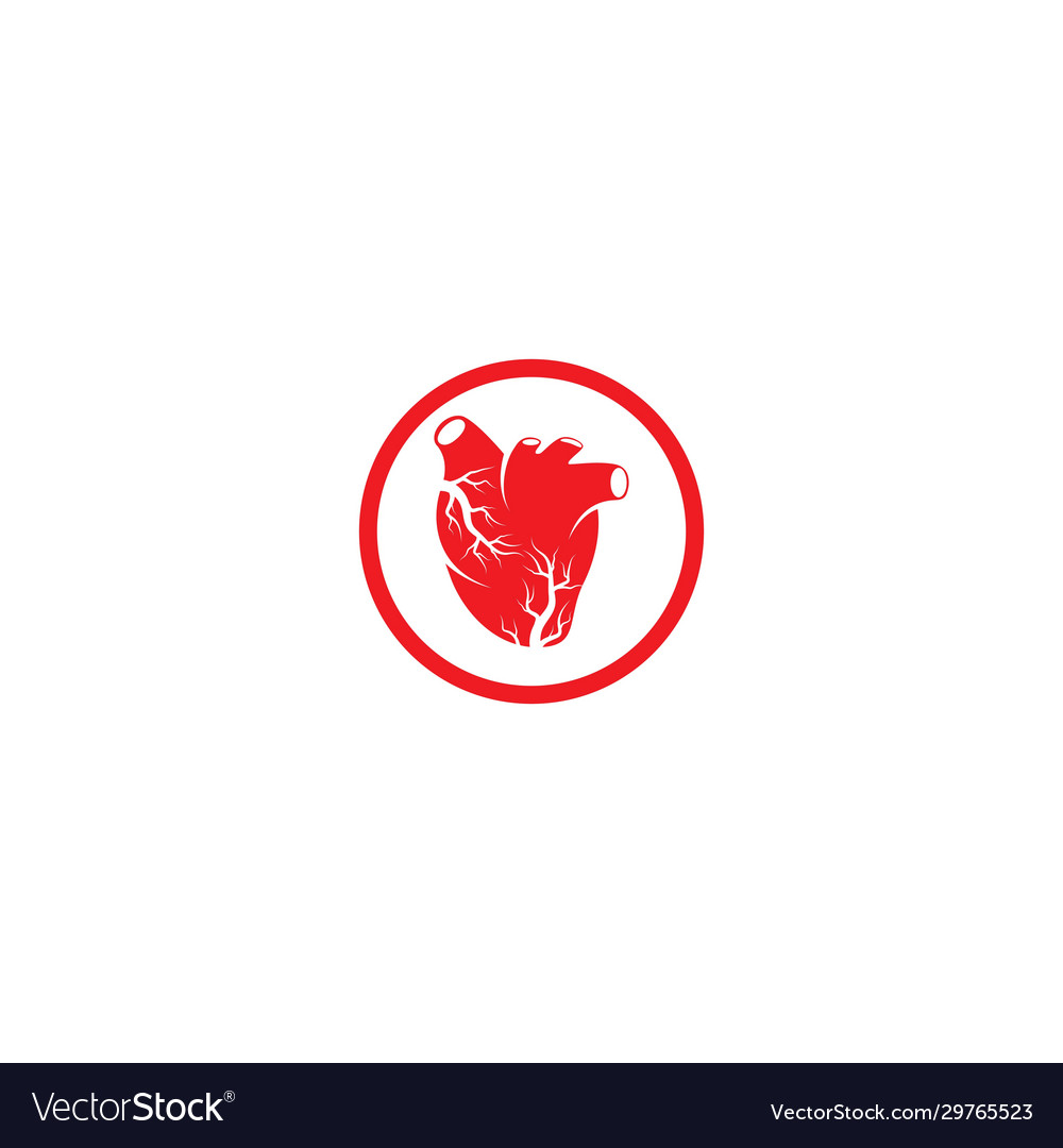 Human heart Royalty Free Vector Image - VectorStock