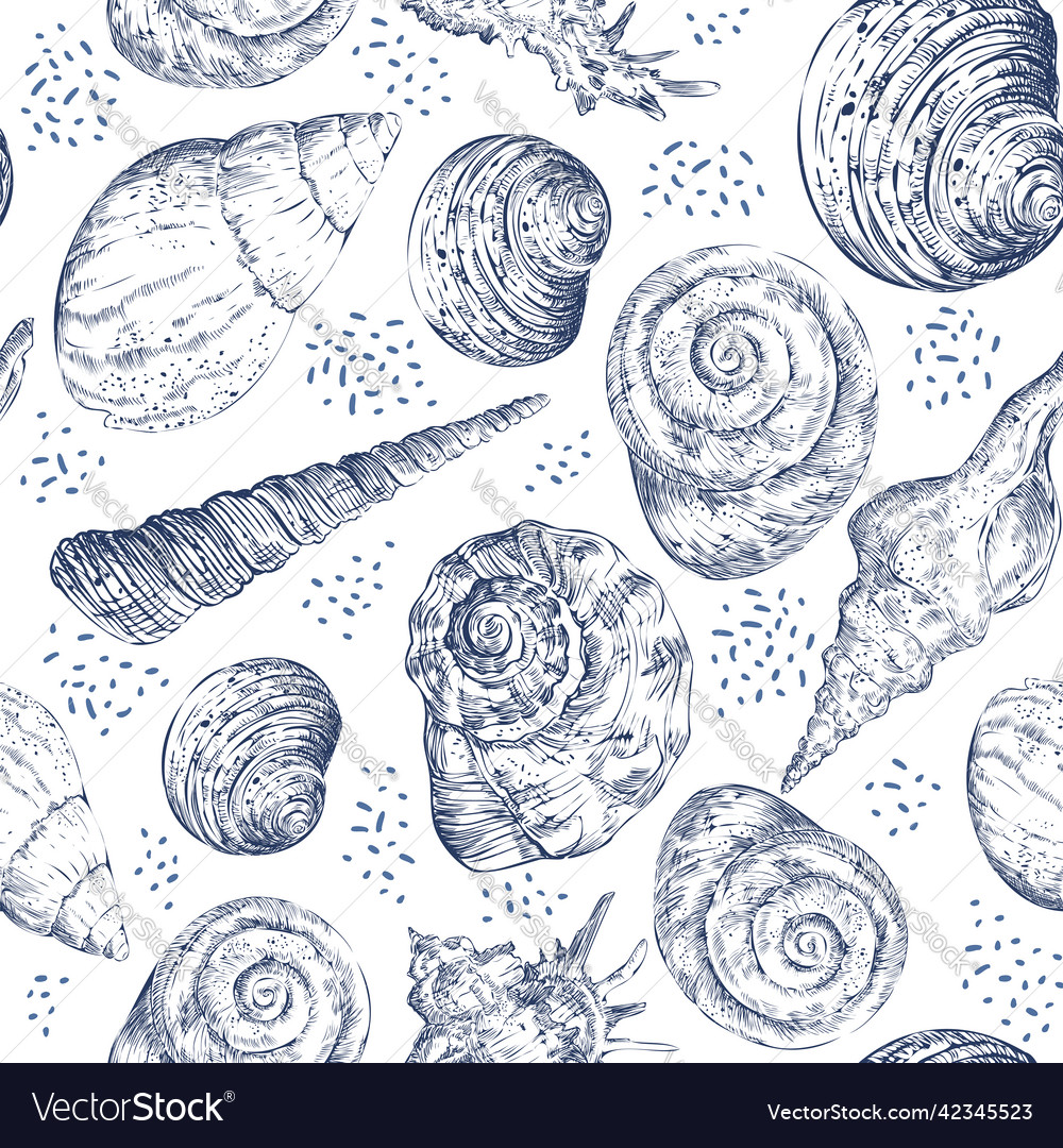 Seamless pattern hand drawn navy seashells