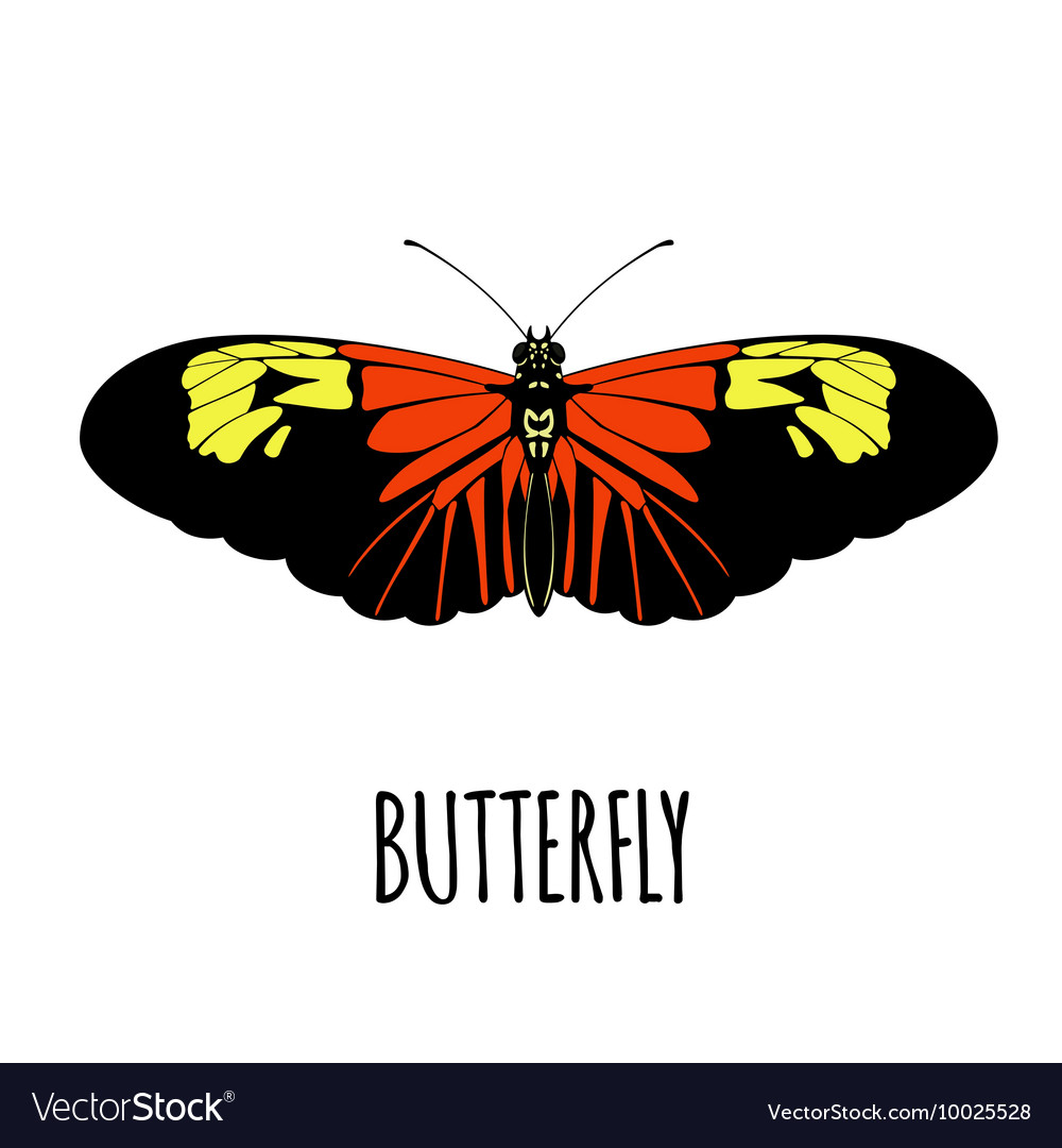 Butterfly style