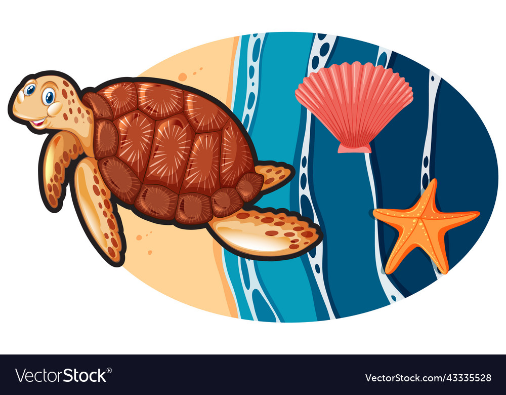 Turtle and shell in cartoon style Royalty Free Vector Image