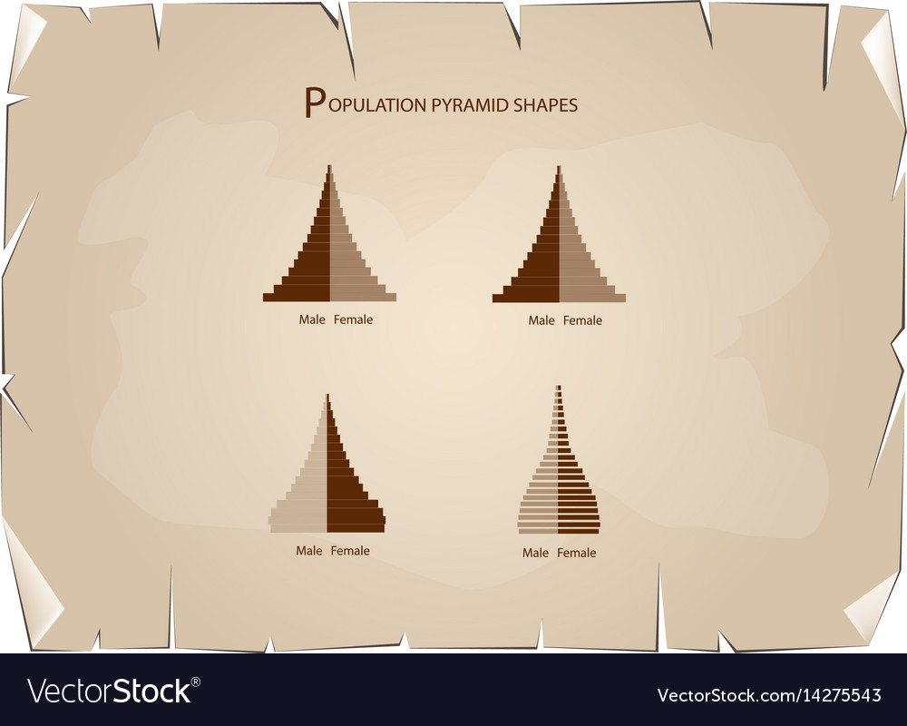 4 types of population pyramids graphs