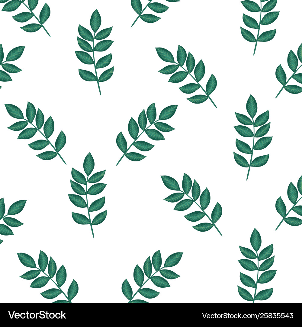 Branch with leafs plants pattern background Vector Image