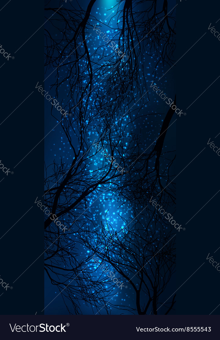 trees silhouette with starry