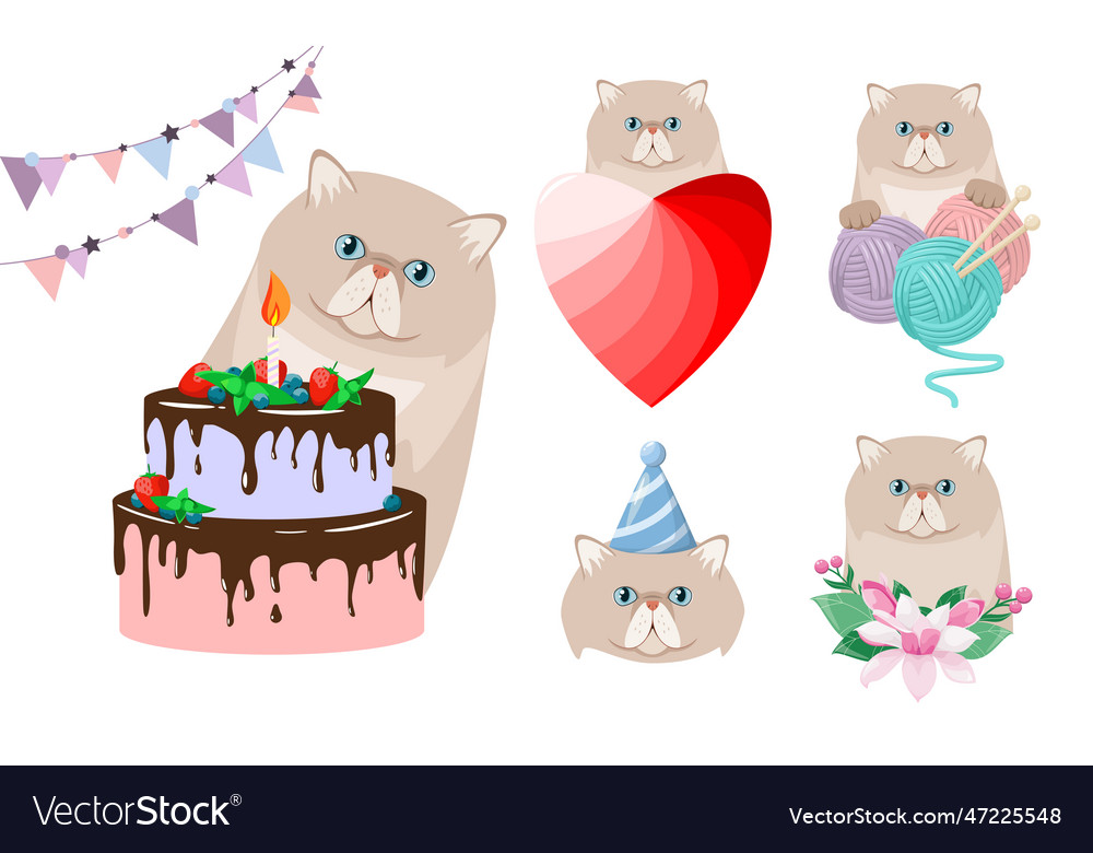 A set of funny persian cats Royalty Free Vector Image