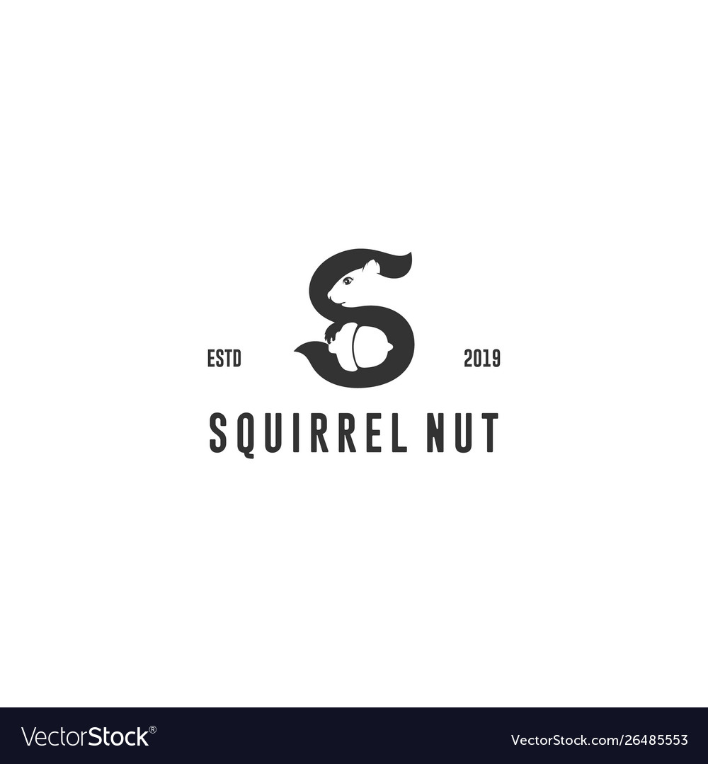 Squirrel nut logo vector image Squirrel nut logo