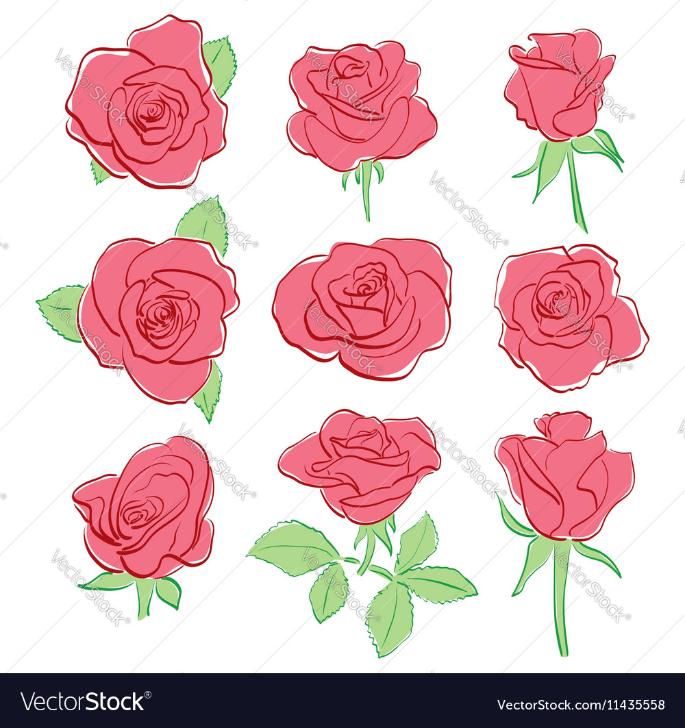 pretty rose drawing